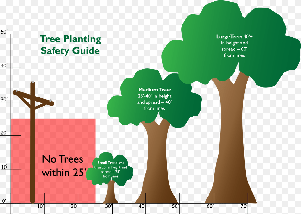 Safe Tree Planting Paulding Putnam Electric Cooperative Safe Tree, Chart, Plot, Cross, Symbol Png Image