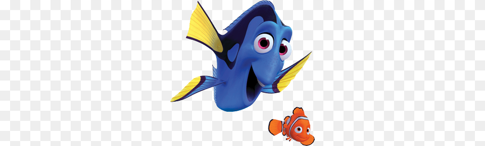 Safety, Animal, Fish, Sea Life, Angelfish Png