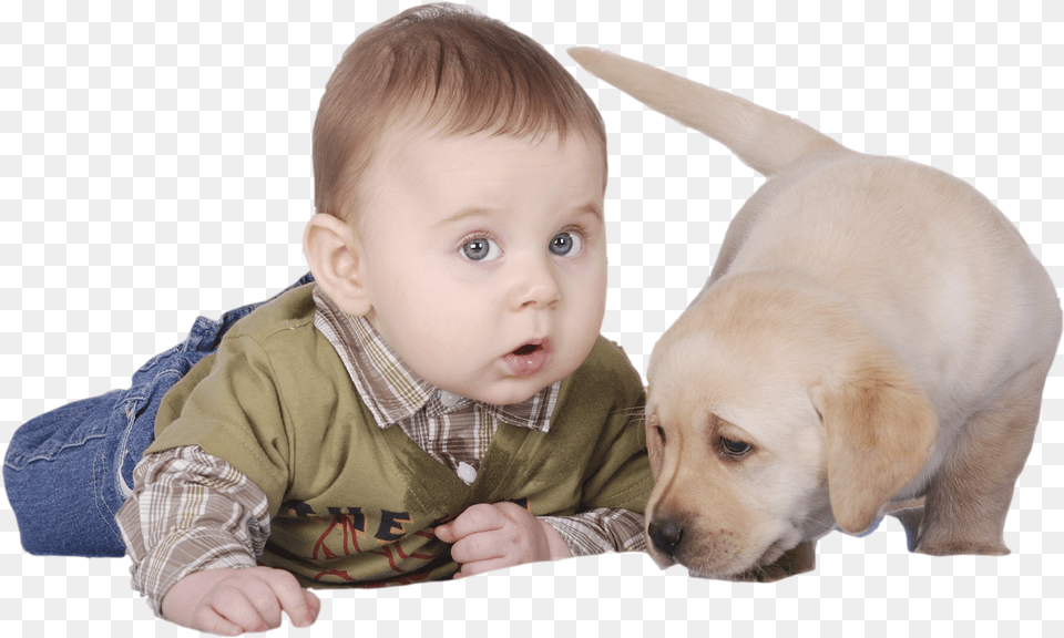 Safety At Home Pets, Baby, Person, Animal, Canine Free Png