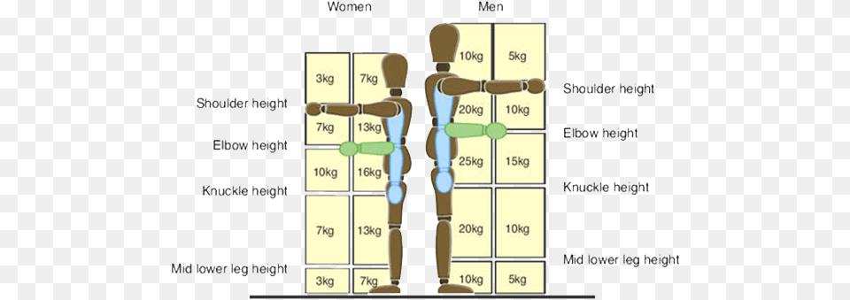 Safety Policy Manual Handling Weights, Chart, Plot, Measurements Free Transparent Png