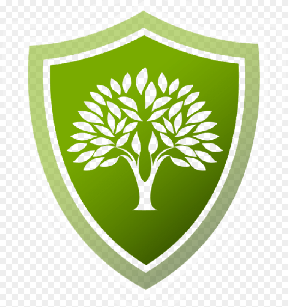 Safety Tree Safe Icon, Armor, Shield, Chandelier, Lamp Png Image
