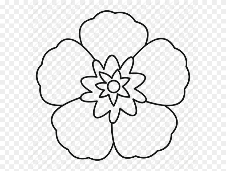 Safety Vector Download Rose Of Sharon Outline Png Image