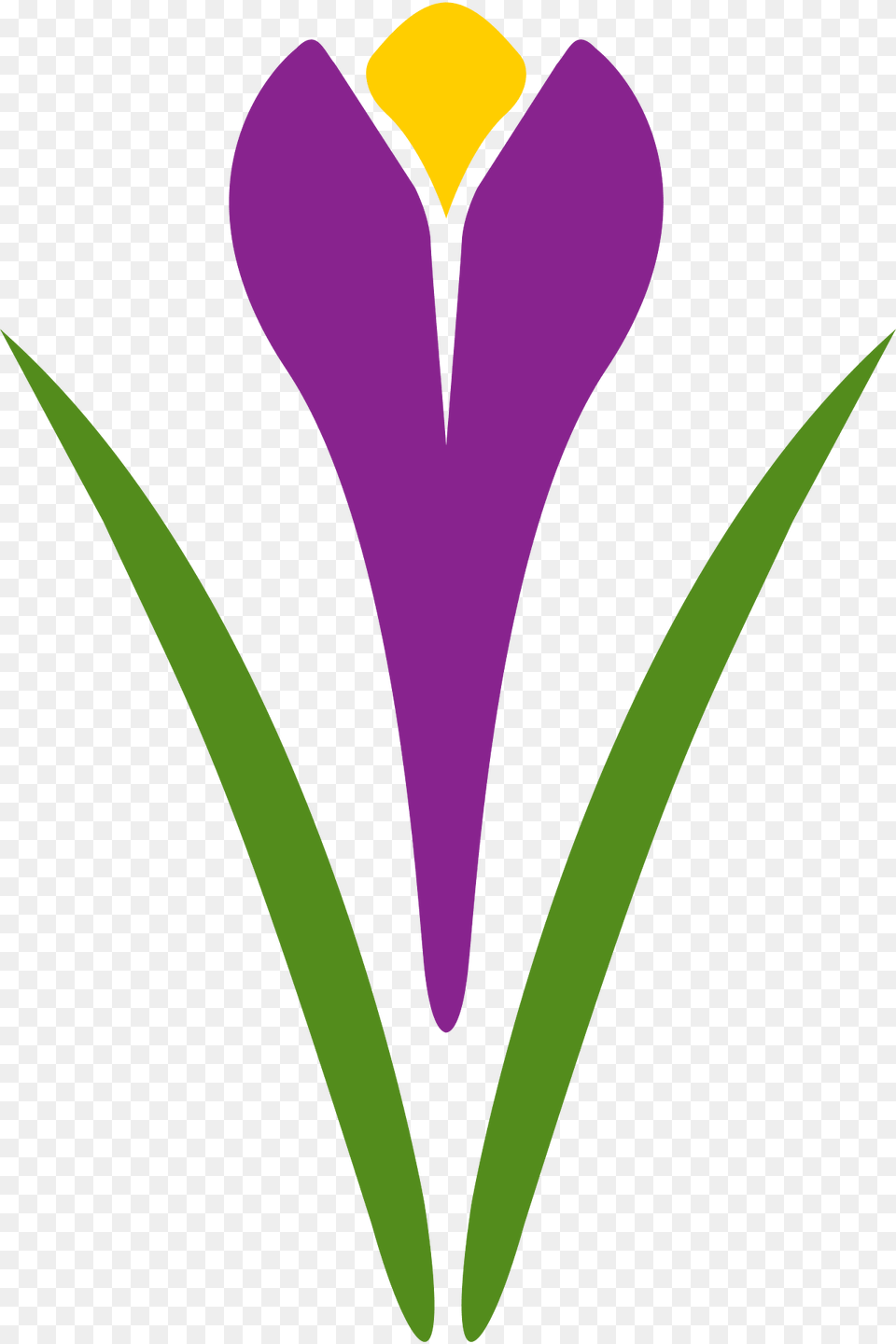 Saffron Clipart, Flower, Iris, Petal, Plant Png Image