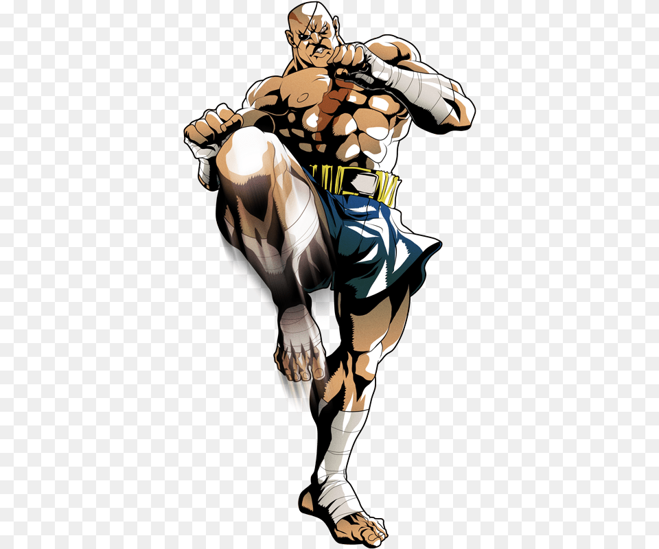 Sagat Street Fighter, Adult, Person, Female, Woman Free Transparent Png