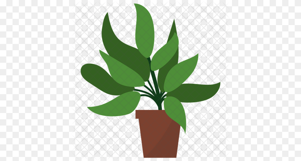 Sage Potted Plant Icon Flowerpot, Vase, Pottery, Potted Plant, Planter Png Image
