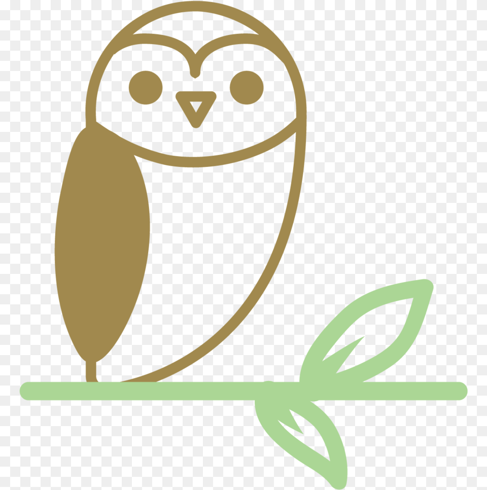 Sage Psychology, Animal, Bird, Owl Free Transparent Png