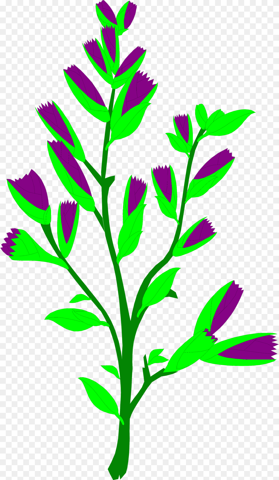 Sagebrush Stock Photo Illustration Of A Sagebrush Sage Bush Clipart, Purple, Plant, Pattern, Herbs Free Png