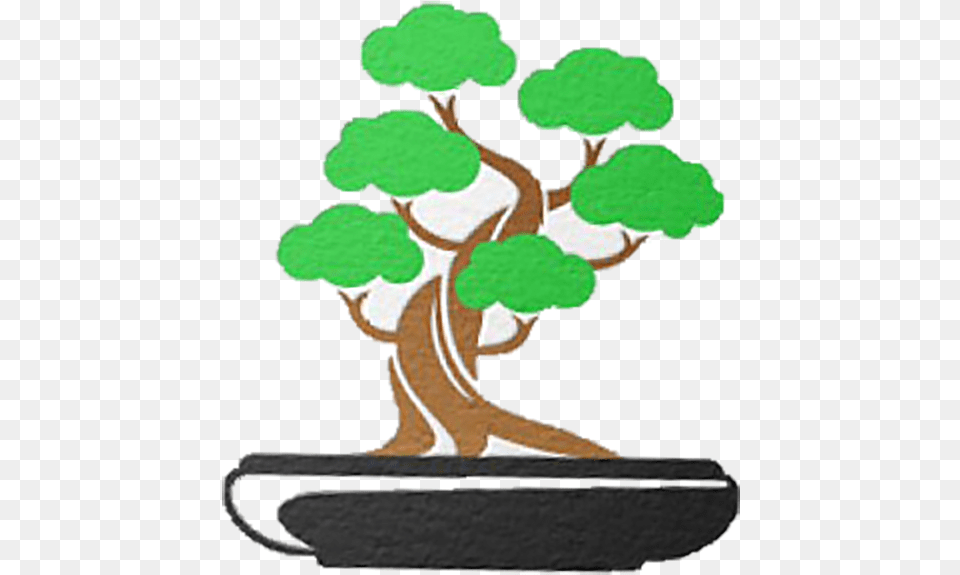 Sageretia Theezans, Plant, Potted Plant, Tree, Bonsai Free Transparent Png