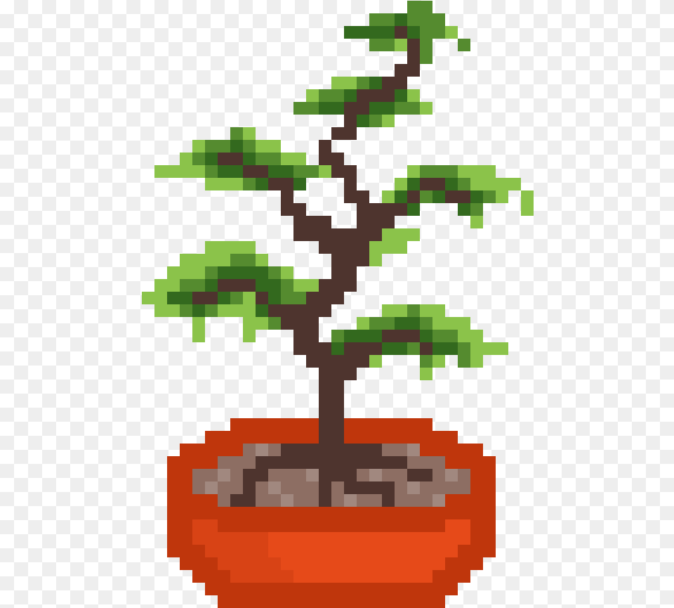 Sageretia Theezans, Conifer, Plant, Potted Plant, Tree Png