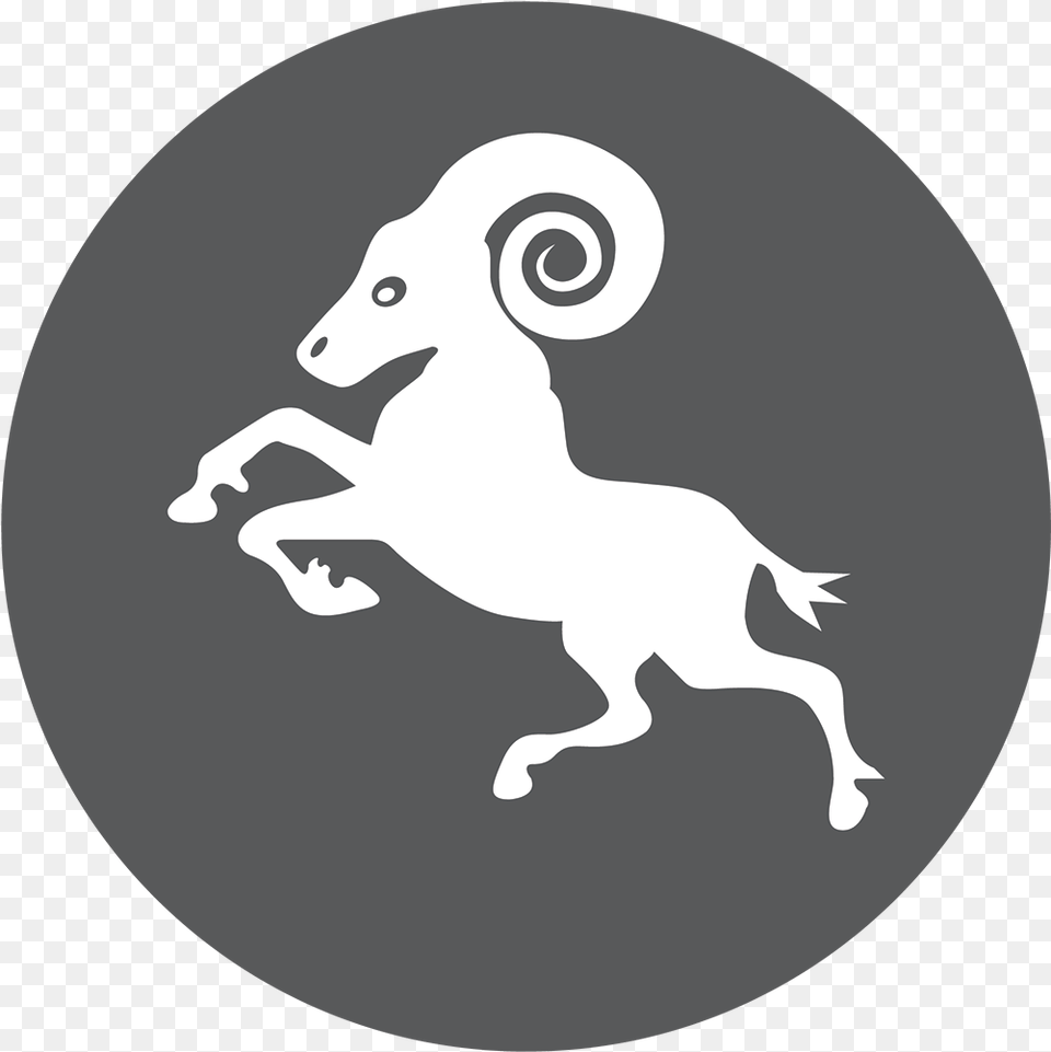 Sagittarius, Animal, Bear, Mammal, Wildlife Png