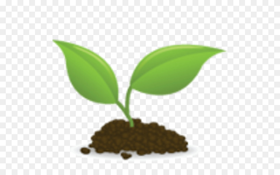 Saguaro Cactus Clip Art, Leaf, Plant, Soil, Sprout Free Png Download