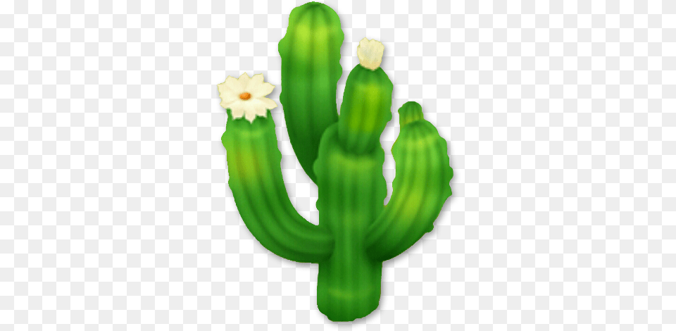 Saguaro Cactus Picture Cactus, Plant, Person Free Transparent Png
