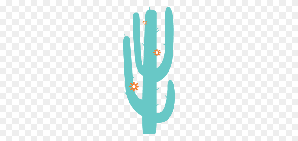 Saguaro Cactus Transparent Arts, Person, Plant Png Image