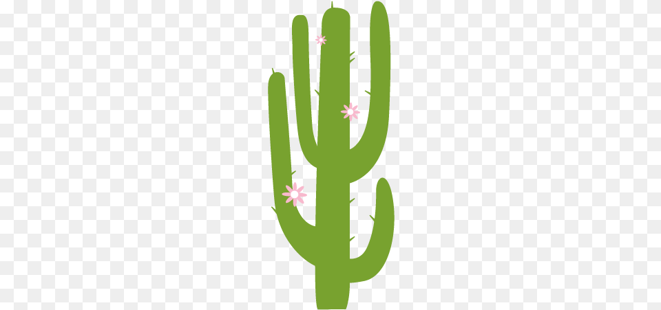 Saguaro Cactus Wall Decal Cactus, Plant, Person Free Transparent Png