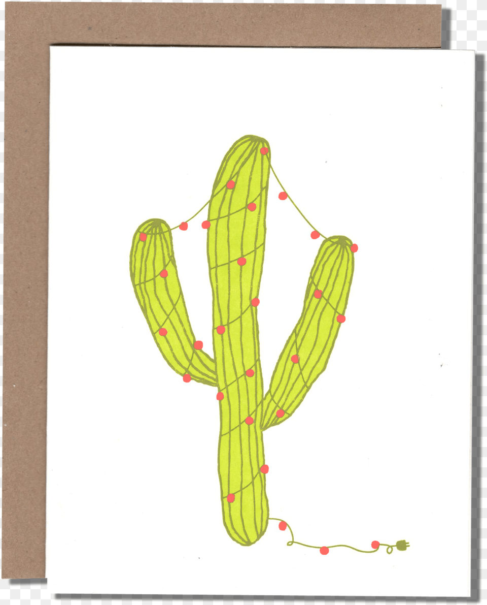 Saguaro Illustration, Cactus, Plant, Animal, Insect Free Png