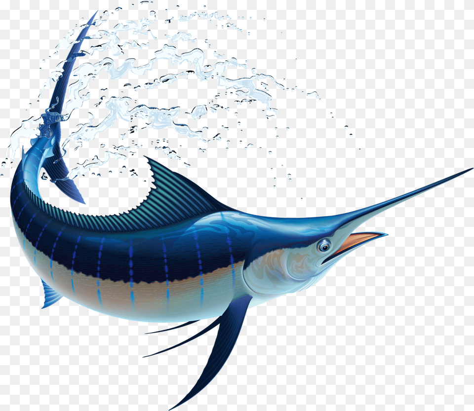 Sail Fish Marlin Fish, Animal, Sea Life, Swordfish Free Png
