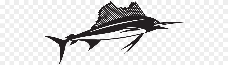 Sailfish, Animal, Sea Life, Fish, Swordfish Png