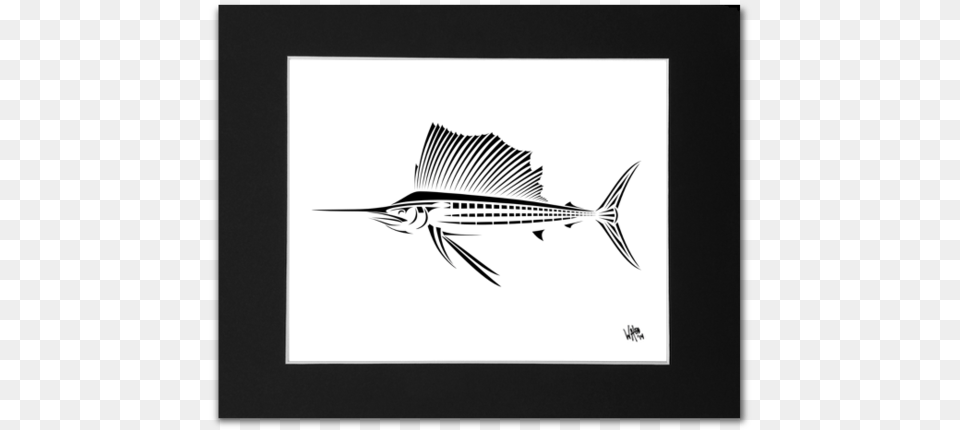 Sailfish Black And White, Animal, Fish, Sea Life, Shark Png Image