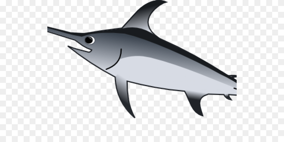 Sailfish Clipart, Animal, Fish, Sea Life, Swordfish Free Png