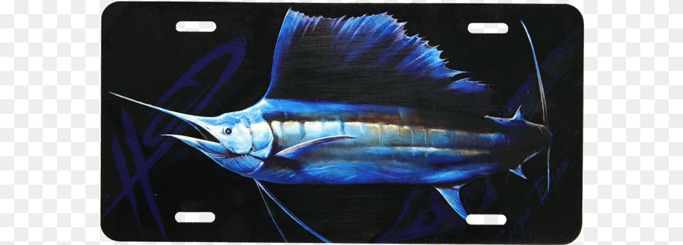 Sailfish License Plate Insured By Mafia You Hit, Animal, Fish, Sea Life, Swordfish Free Transparent Png