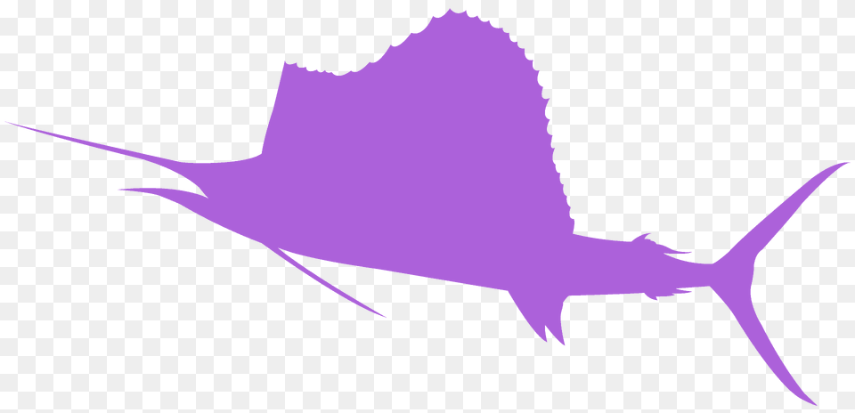 Sailfish Silhouette, Animal, Sea Life, Fish, Swordfish Png Image