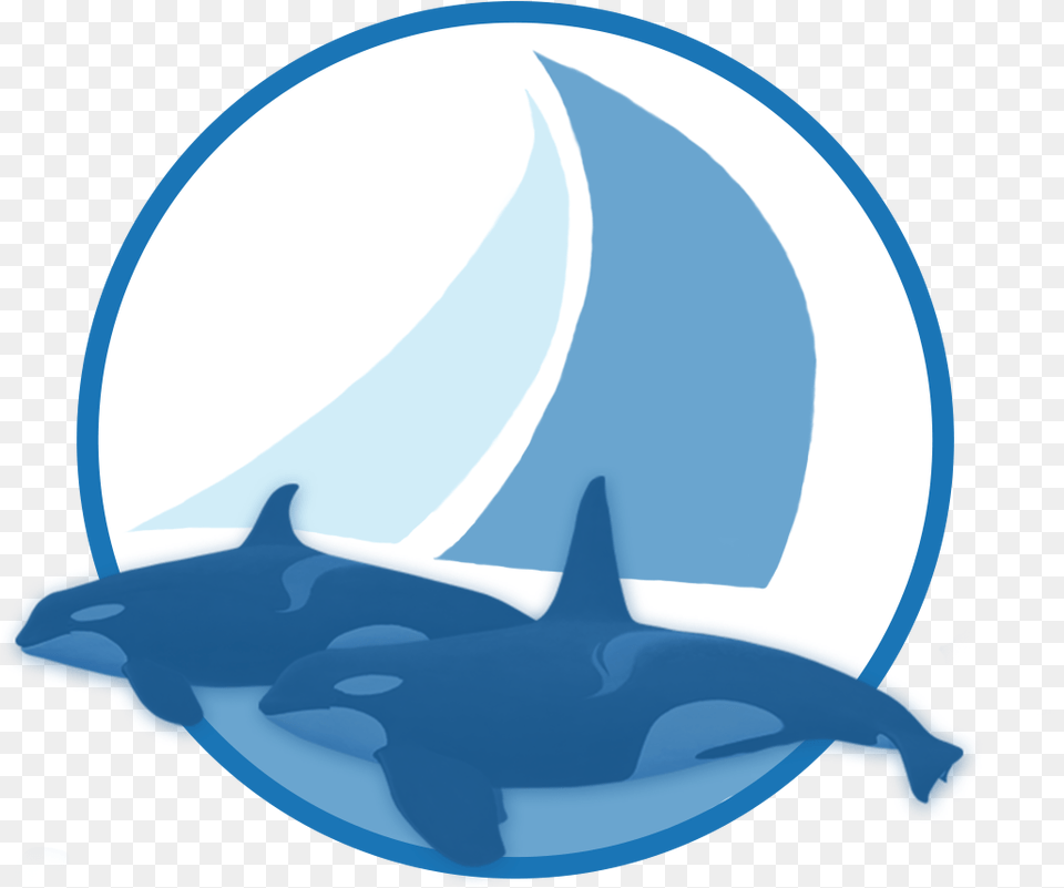 Sailing With Killer Whales Logo, Animal, Fish, Sea Life, Shark Free Png Download