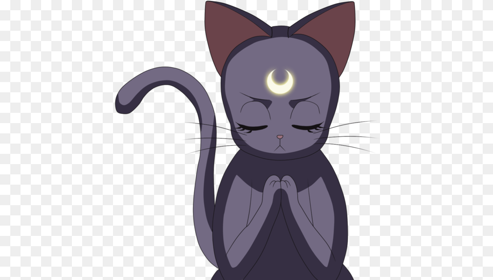 Sailor Moon Luna, Animal, Cat, Mammal, Pet Free Transparent Png