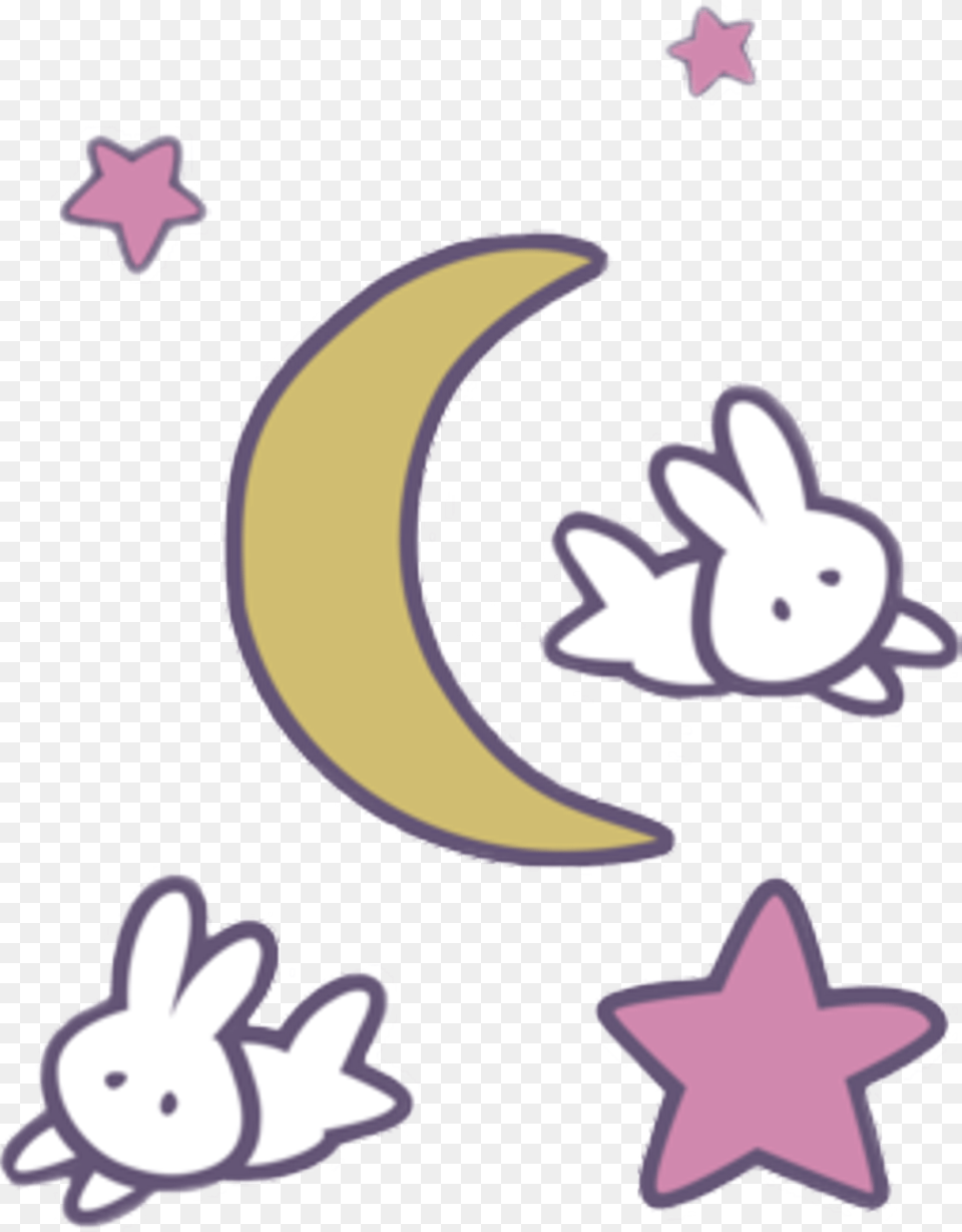 Sailormoon Anime Kawaii Moon Stars Rabbits Rabbit Sailor Moon Bunny, Night, Nature, Outdoors, Banana Free Png Download