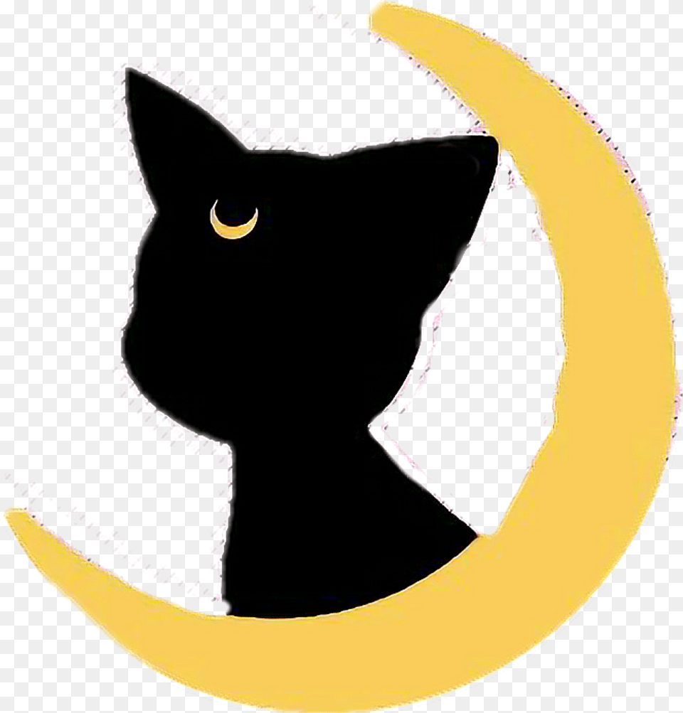 Sailormoon Cat Gato Cute Luna Moon Luna Sailor Moon, Animal, Mammal, Pet, Black Cat Free Transparent Png