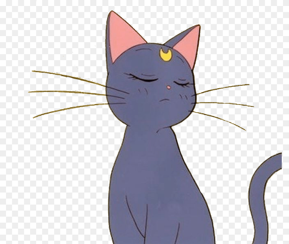 Sailormoon Cat Luna Cute Kawaii Anime Sailor Moon Cat Transparent, Animal, Mammal, Pet, Egyptian Cat Free Png