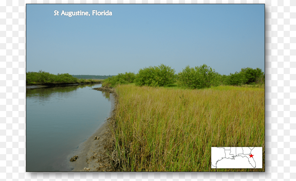 Saint Augustine Florida Salt Marsh Mangrove Ecotone, Water, Outdoors, Nature, Pond Free Png Download