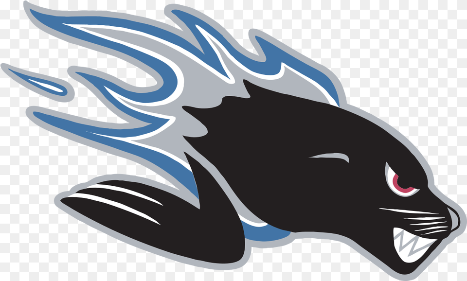 Saint John Seadogs Logo, Animal, Fish, Sea Life, Shark Free Png