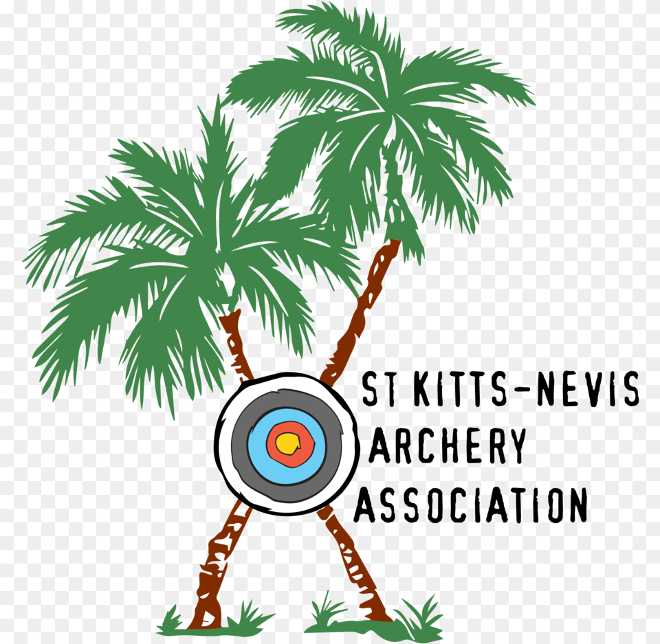 Saint Kitts Nevis Archery Association, Bow, Sport, Weapon, Person Free Png Download