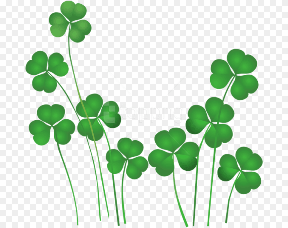 Saint Patrick S Day Shamrocks Clip Art, Green, Leaf, Plant Free Png Download