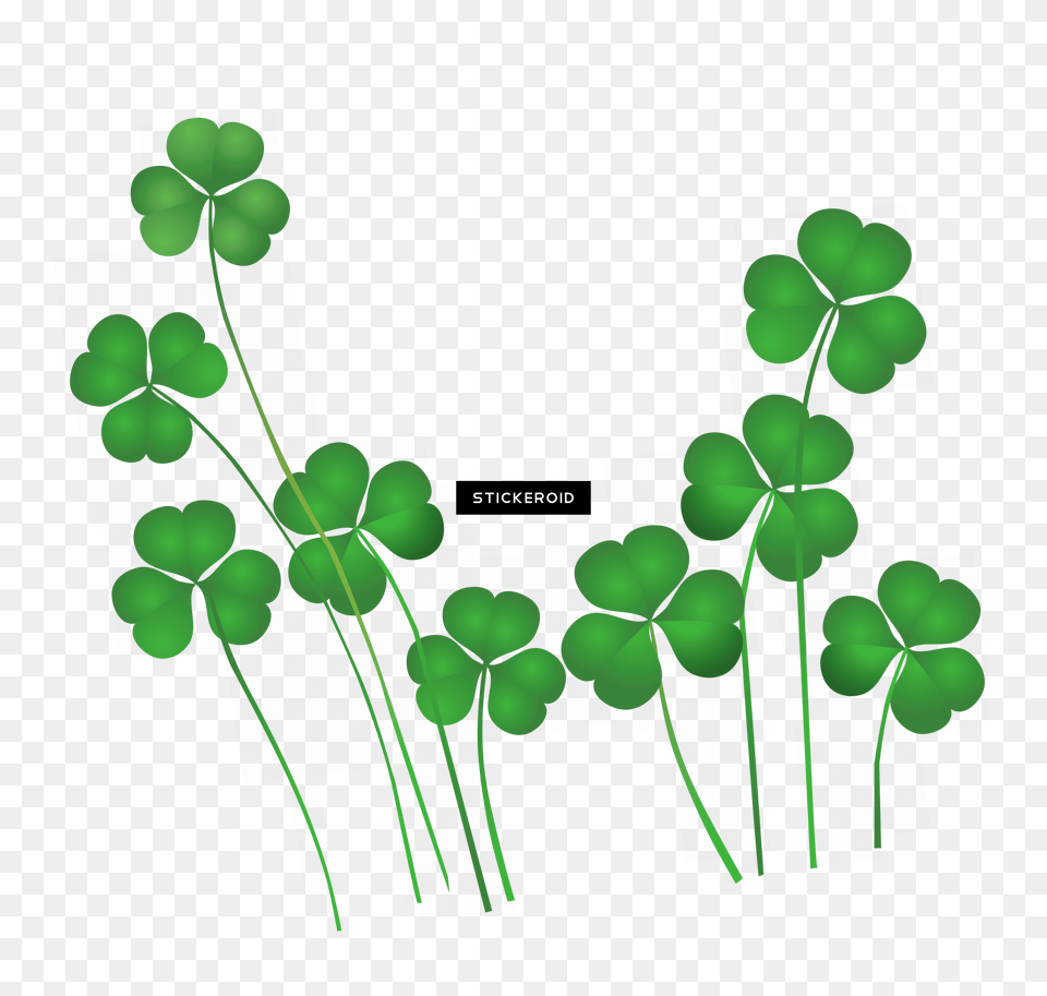 Saint Patrickquots Day St Patricks Clipart, Green, Leaf, Plant Free Transparent Png