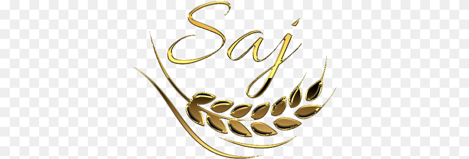 Saj New Orleans La Decorative, Calligraphy, Handwriting, Text, Gold Free Transparent Png