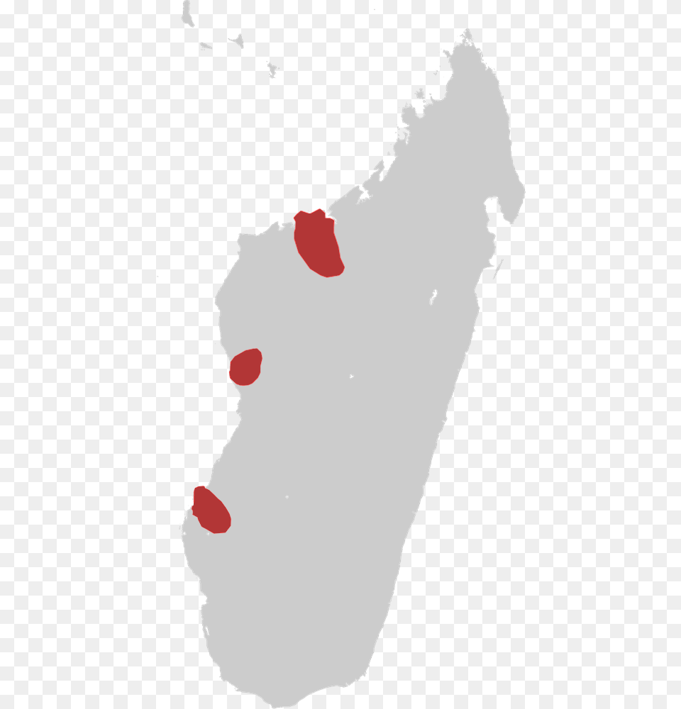 Sakalava Rail Map Simple Madagascar Island, Adult, Bride, Female, Person Free Png