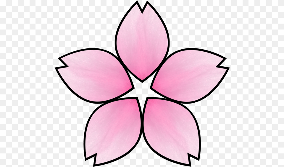 Sakura, Flower, Petal, Plant, Leaf Png