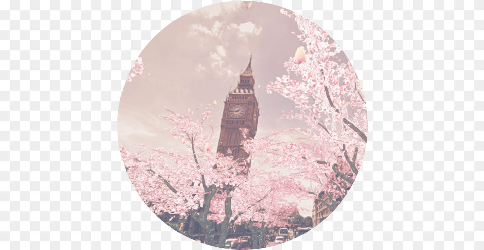 Sakura, Architecture, Building, Clock Tower, Photography Free Png Download