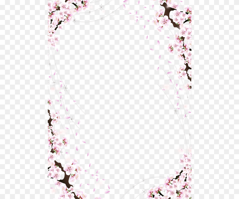 Sakura, Flower, Plant, Cherry Blossom, Petal Png Image