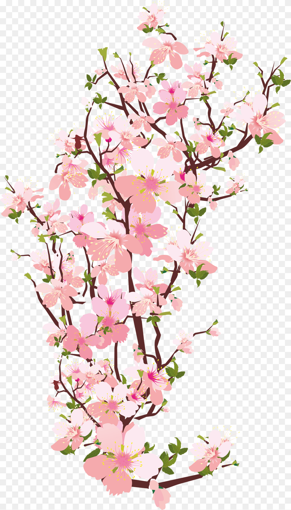 Sakura, Art, Floral Design, Flower, Graphics Free Transparent Png