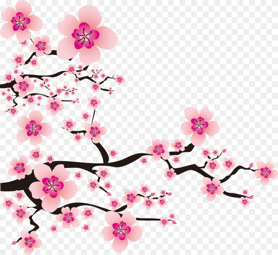 Sakura Background, Flower, Plant, Cherry Blossom Free Png Download