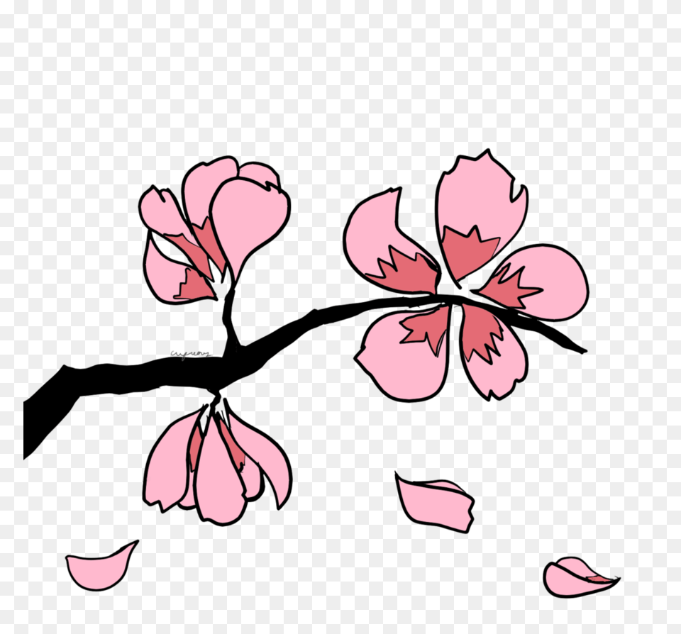 Sakura Blossom Clipart Leaves, Flower, Petal, Plant, Baby Free Png Download