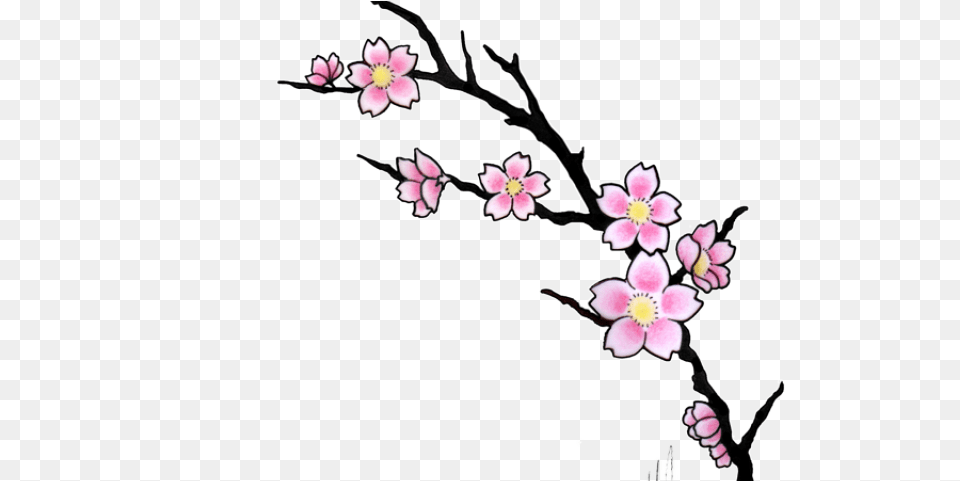 Sakura Blossom Clipart Leaves Cherry Blossom Tattoo Design, Flower, Plant, Cherry Blossom, Anemone Free Transparent Png