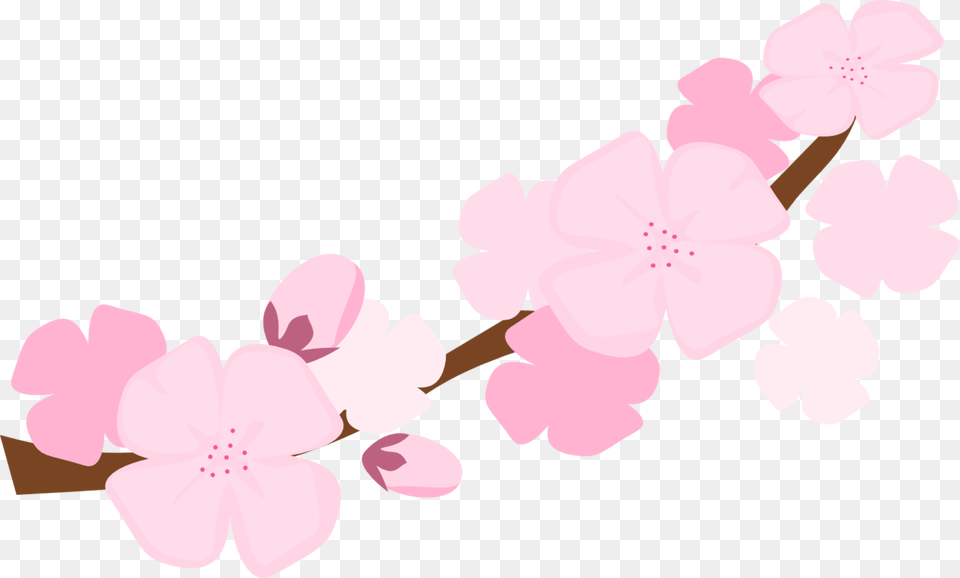 Sakura Blossom Clipart Symbol Cartoon Cherry Blossom Transparent, Flower, Plant, Cherry Blossom, Petal Png Image