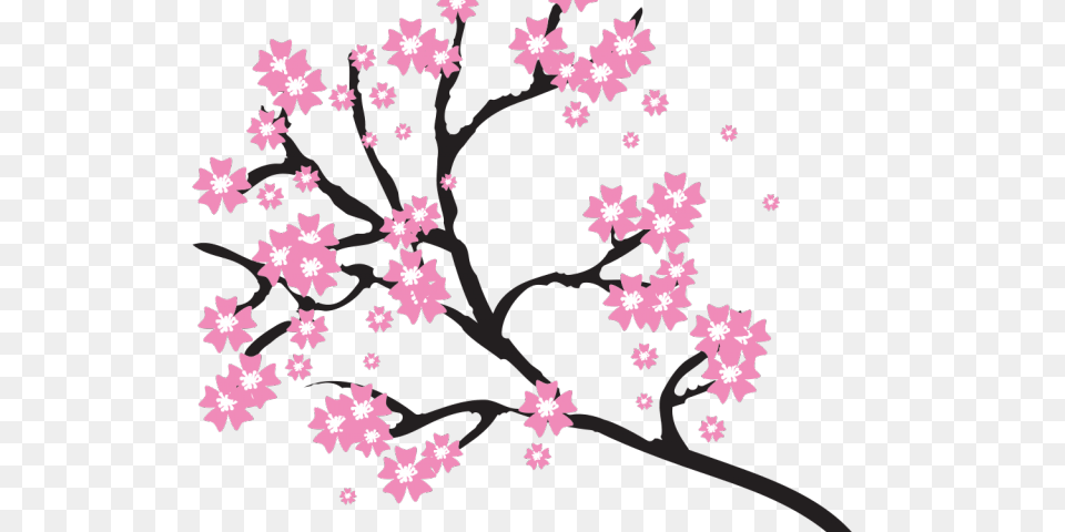 Sakura Blossom Clipart Wallpaper, Flower, Plant, Cherry Blossom Png