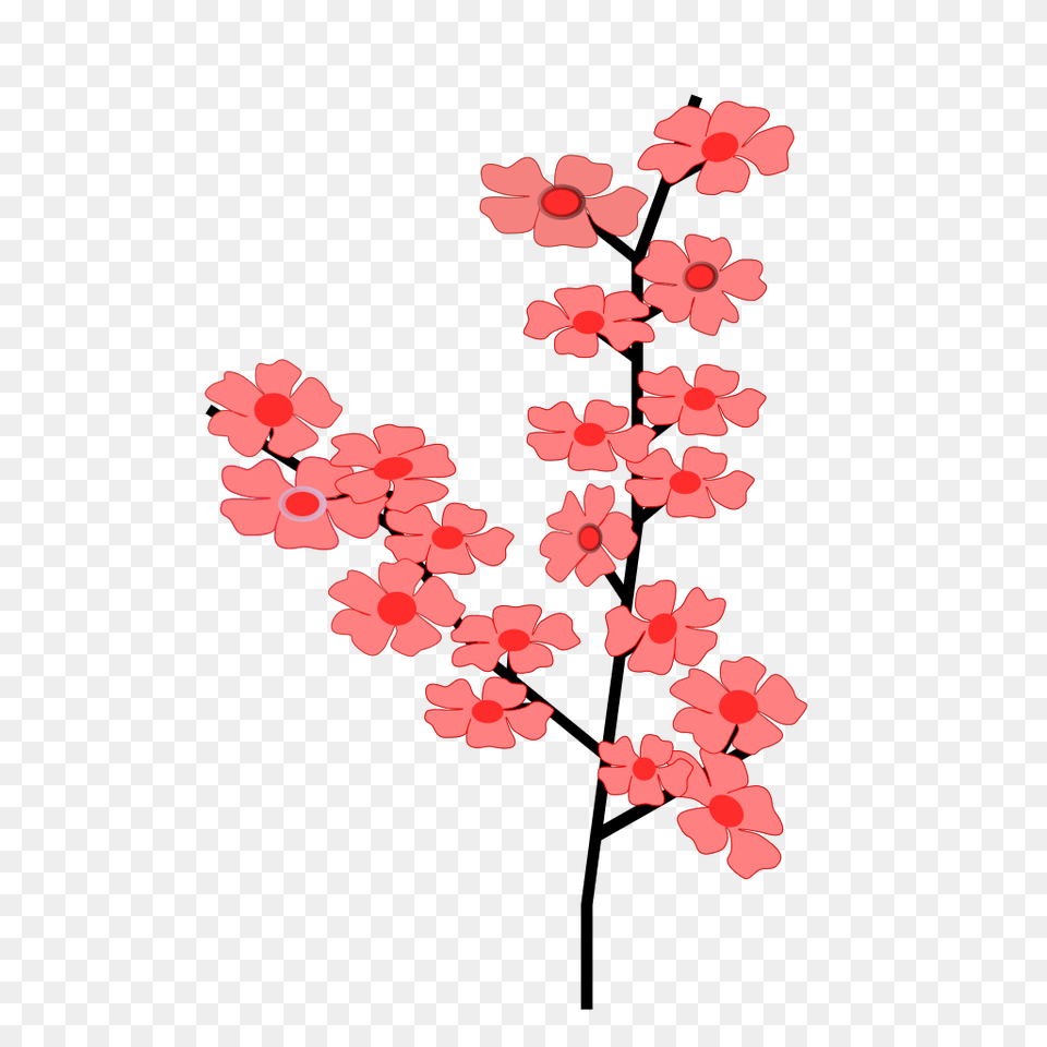 Sakura Cherry Blossom Clip Art, Flower, Petal, Plant, Hibiscus Free Png