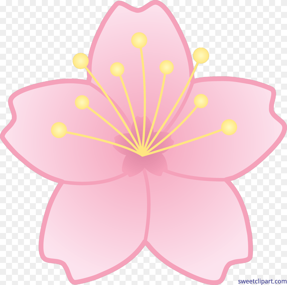 Sakura Clip Art, Anther, Flower, Petal, Plant Png Image