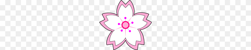 Sakura Clip Arts Sakura Clipart, Flower, Plant, Anemone, Daisy Png