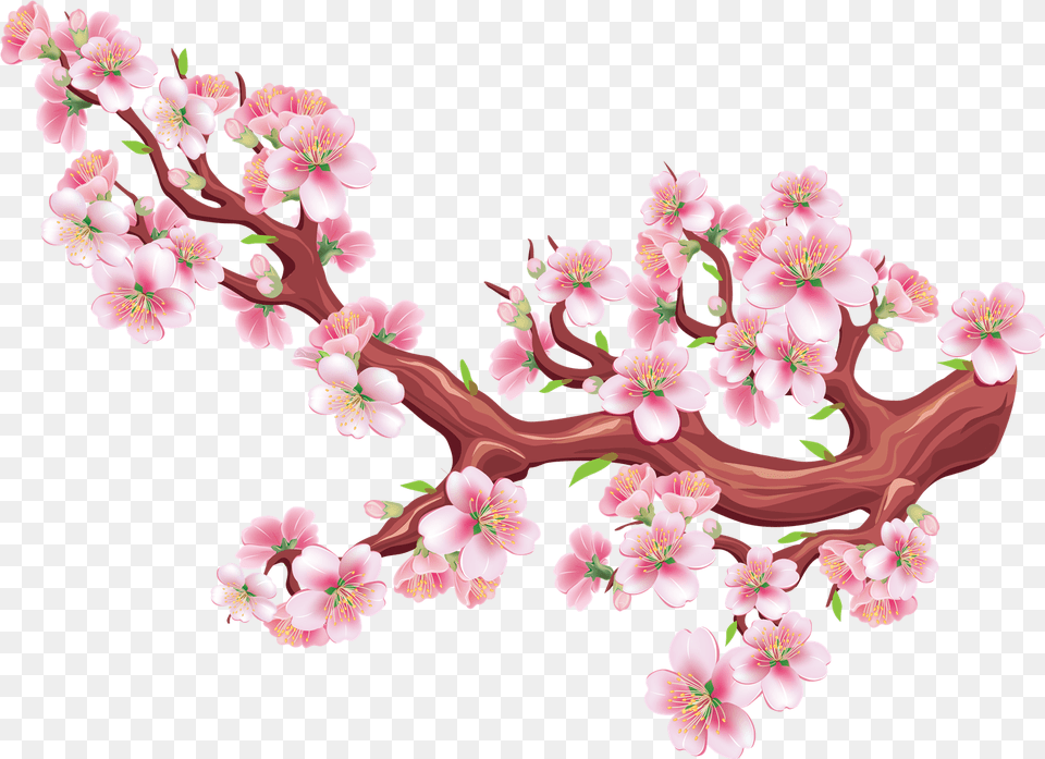 Sakura Download Drawn Cherry Blossom Tree, Flower, Plant, Cherry Blossom Free Transparent Png